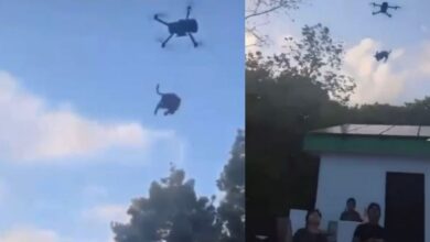 Jóvenes elevan a un perro con un dron a más de 3 metros de altura en México