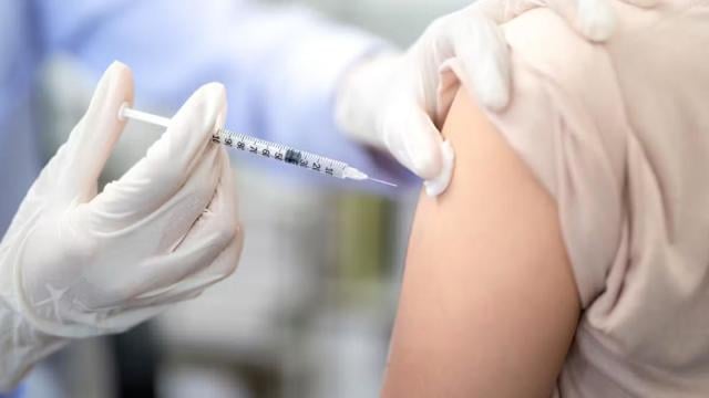 Colombia decretará emergencia sanitaria por brote de fiebre amarilla