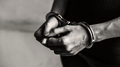 Preso sujeto por matar a patadas a un perro