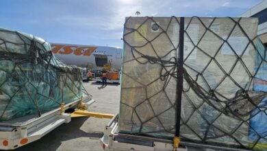 Arriban 700 mil dosis de vacunas BCG al Aeropuerto Internacional Simón Bolívar