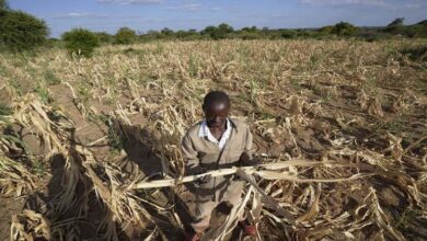 Informe de la ONU alerta sobre crisis alimentaria a escala mundial