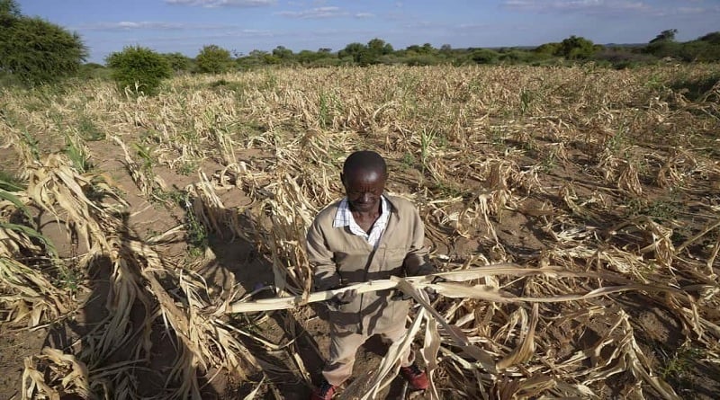 Informe de la ONU alerta sobre crisis alimentaria a escala mundial