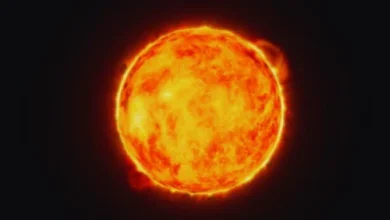 El telescopio solar más grande del mundo captó imágenes inéditas del Sol