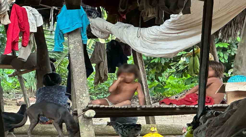 Fallecimiento de niños en la Amazonía ecuatoriana sería causado por leptospirosis