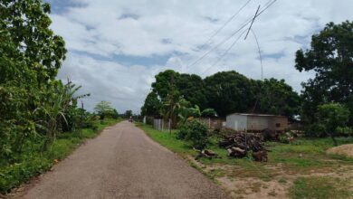 Explosión de transformador deja sin luz a más de 50 habitantes de Plantación