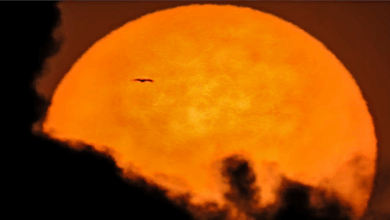 Revelan cómo se observa el Sol en 8K
