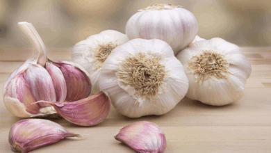¿Cuáles son los antibióticos caseros ante cualquier resfriado?