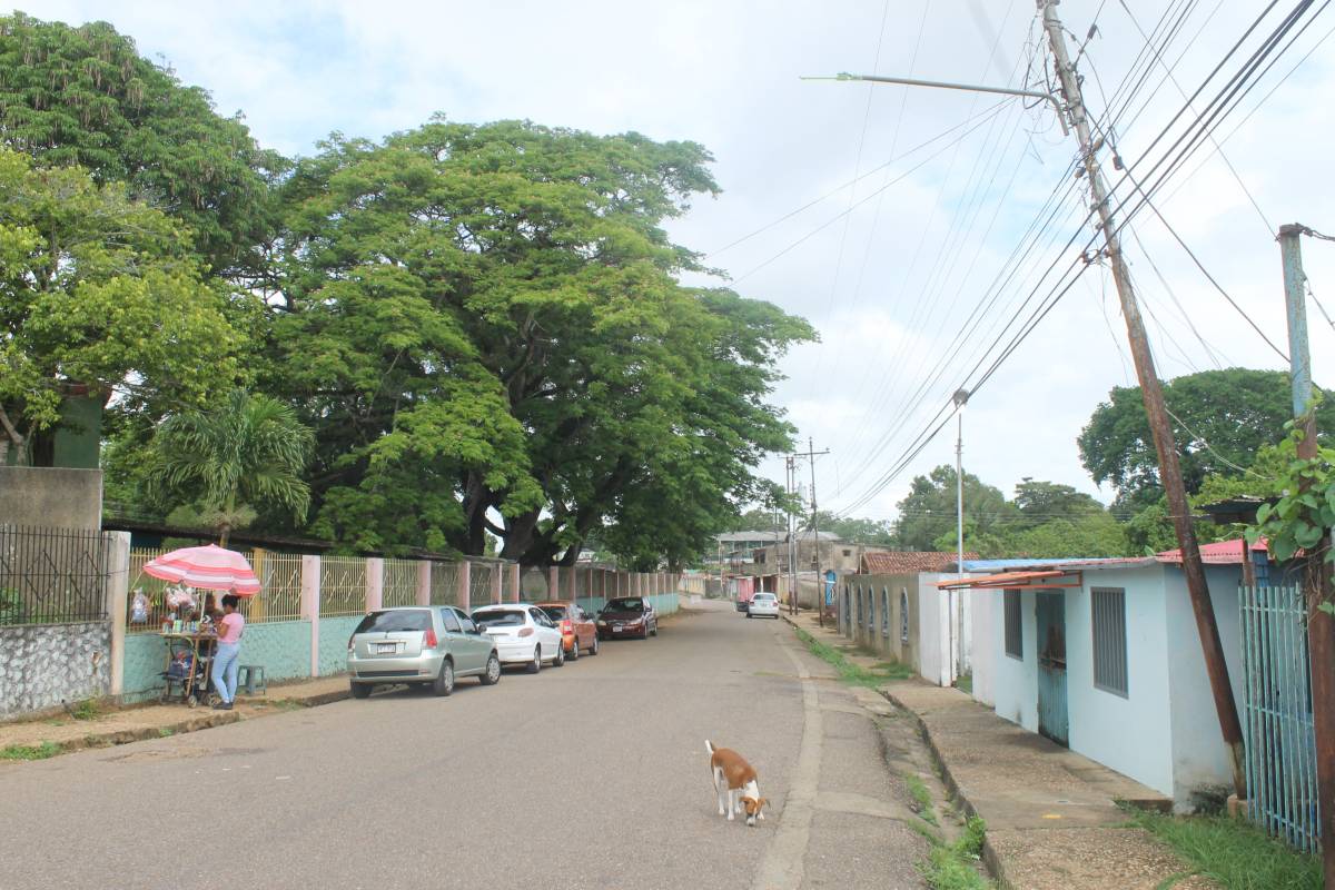 Reportan que dos poste de alta tensión en la calle Sucre de La Cruz emiten chispas