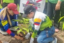 Inatur Monagas y Corpoturismo se suman al proyecto Flor de Oro en el Día del Araguaney