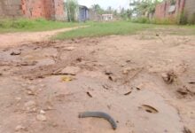 Denuncian más de 20 años sin asfaltado en el sector Terrazas de Campo Alegre