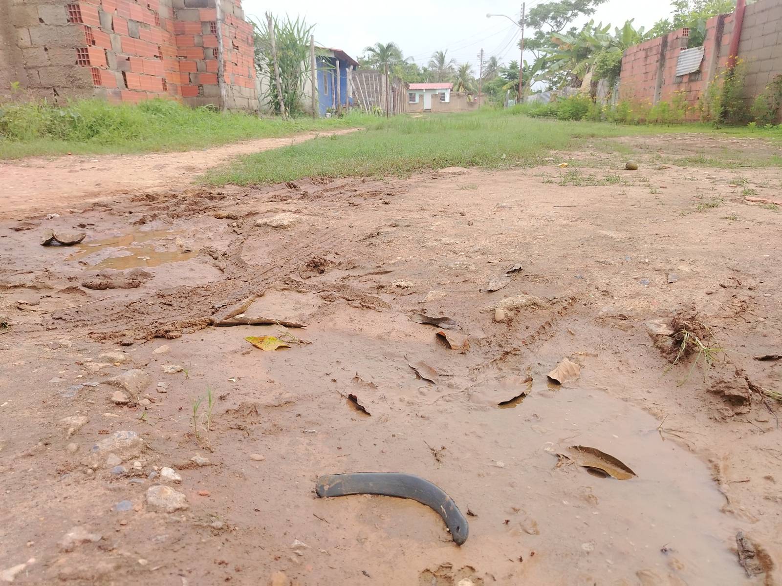 Denuncian más de 20 años sin asfaltado en el sector Terrazas de Campo Alegre