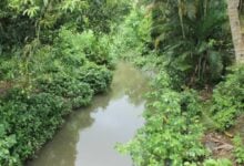 Habitantes del sector 5 de Julio piden desmalezamiento del caño