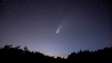 Cuándo y cómo ver en Venezuela la lluvia de meteoros del cometa Halley