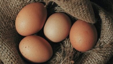 ¿Es realmente saludable comer huevo?