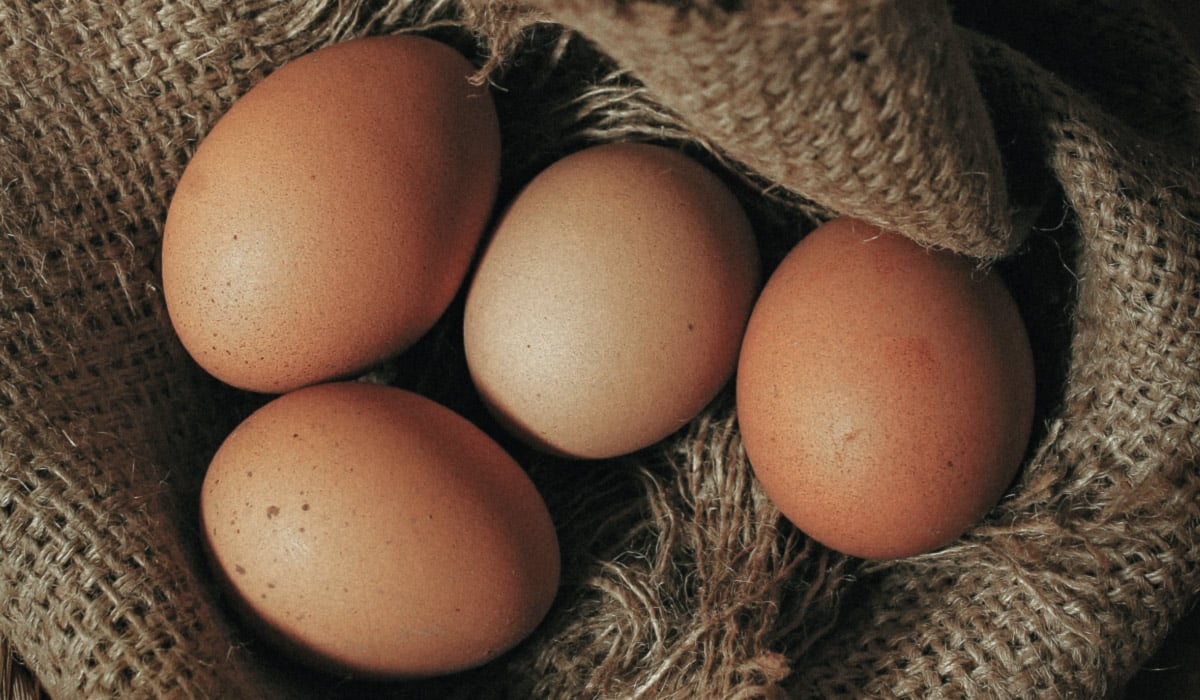¿Es realmente saludable comer huevo?