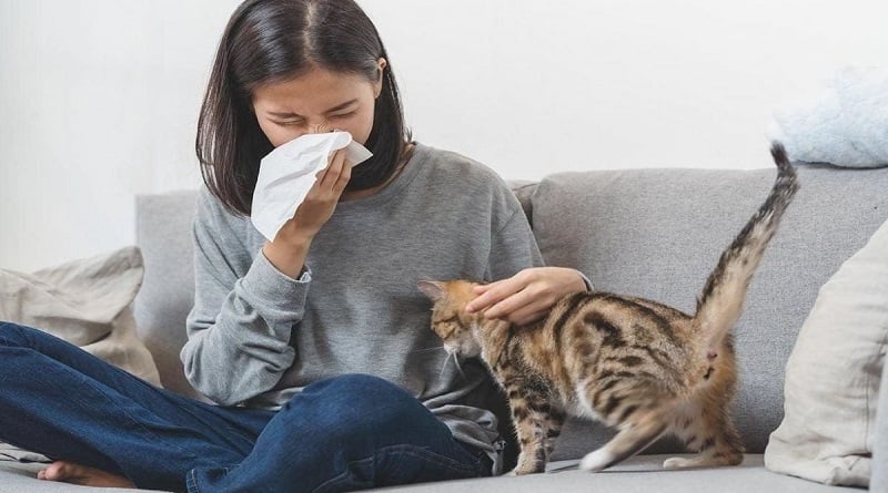 Rusia desarrolla primera vacuna contra la alergia a los gatos