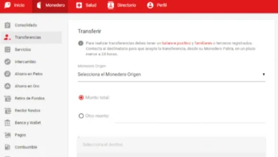 Comienza pago de Bono Complementario Familiar este 11 de junio: sepa quiénes lo cobran