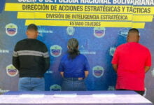 Aprehendidos promotores de fiesta al desnudo de menores de edad