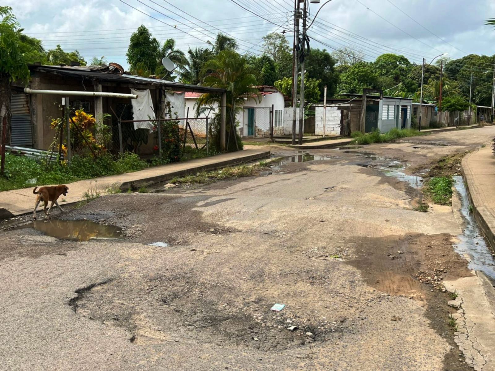 Denuncian mal estado de la calle principal del sector Brisas de Sarrapia