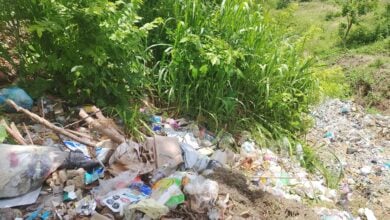 Residentes del sector Doña Menca claman por el buen funcionamiento del aseo urbano.