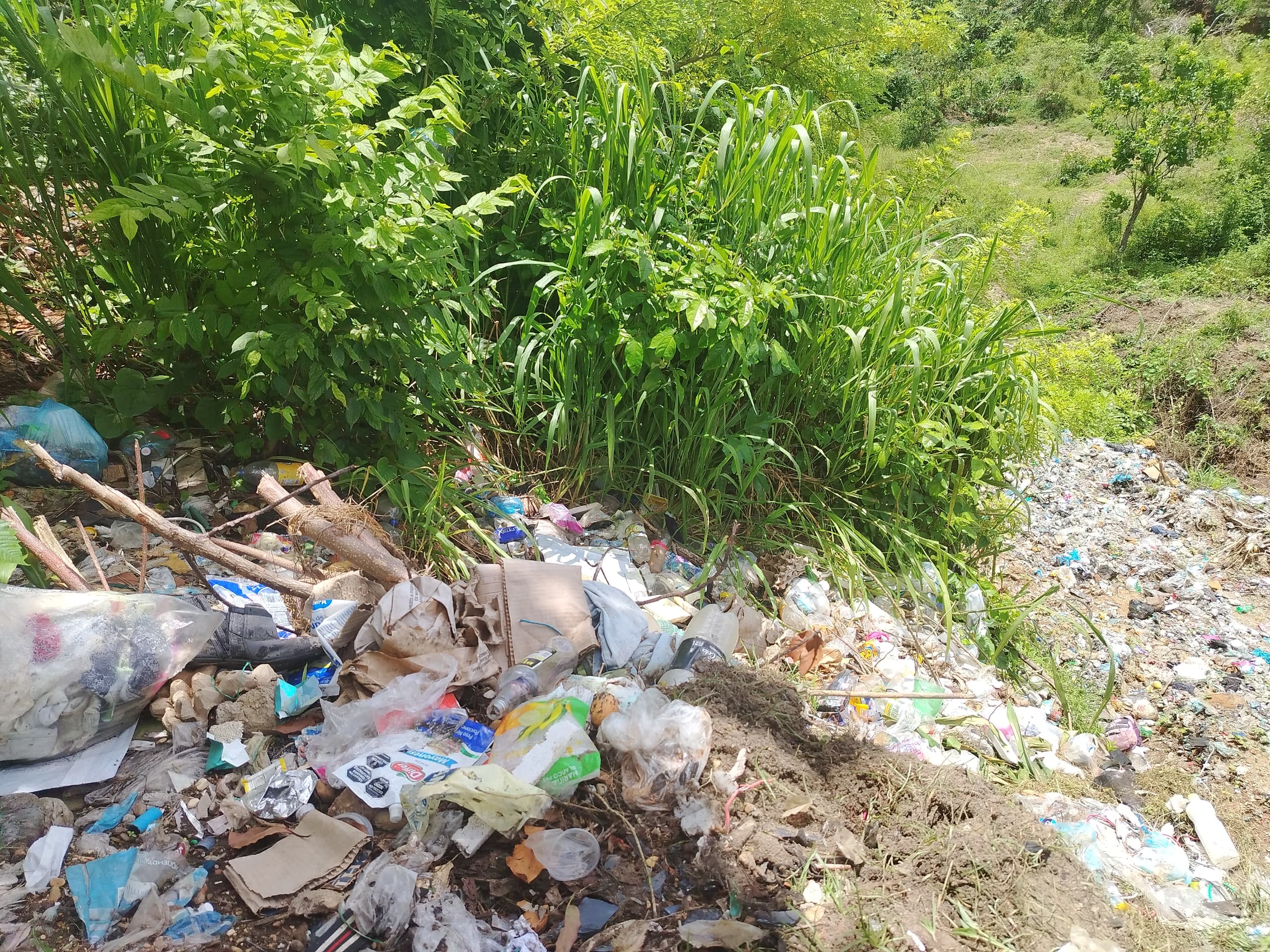 Residentes del sector Doña Menca claman por el buen funcionamiento del aseo urbano.