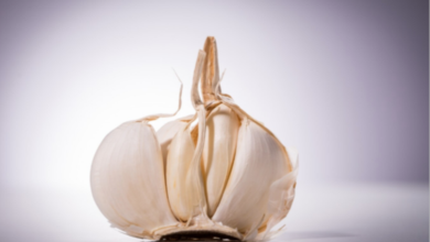 Descubre las propiedades medicinales y terapéuticas del ajo