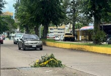 Reportan alcantarilla sin tapa en medio de la calle en la avenida Juncal de Maturín
