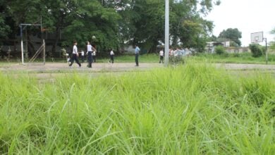 Padres solicitan desmalezamiento de las áreas verdes en la escuela Victoria Ramírez Molino