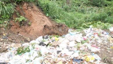 Unos 30 conuqueros de La Arboleda denuncian acumulación de basura en el sector