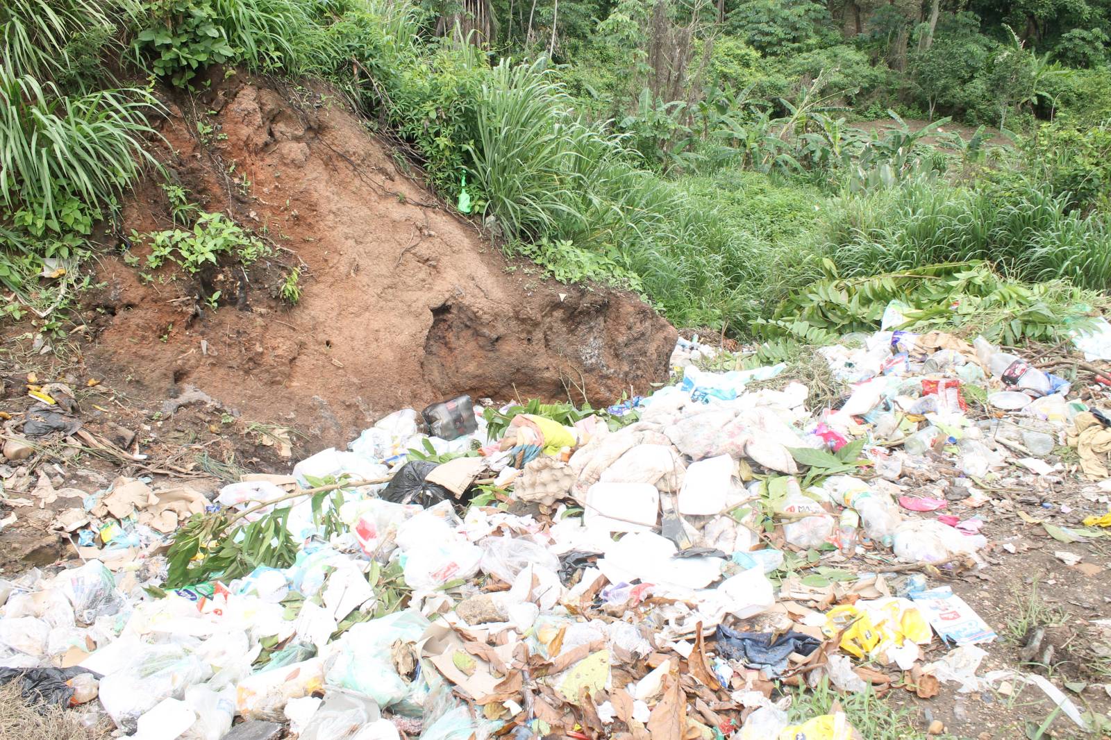 Unos 30 conuqueros de La Arboleda denuncian acumulación de basura en el sector