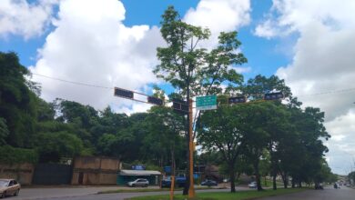 Vecinos del sector El Picacho piden reparación de los semáforos para evitar accidentes de transito.