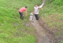 Dirección de Servicios Públicos Realiza Mantenimiento de Canales de Aguas Servidas en Uracoa