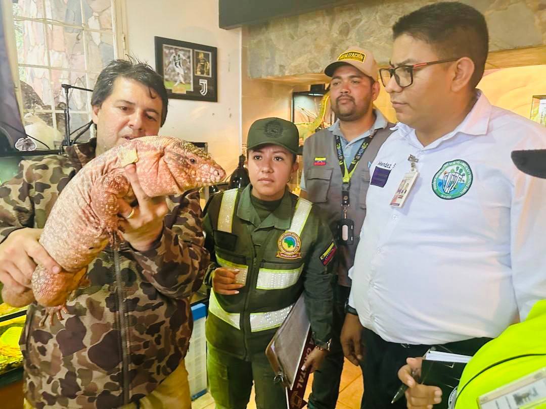 Decomisan más de mil ejemplares de fauna silvestre en 124 operativos de fiscalización
