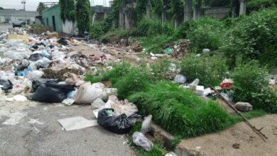 Denuncian gran acumulación de basura en el sector 23 de Enero