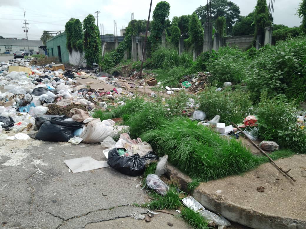 Denuncian gran acumulación de basura en el sector 23 de Enero