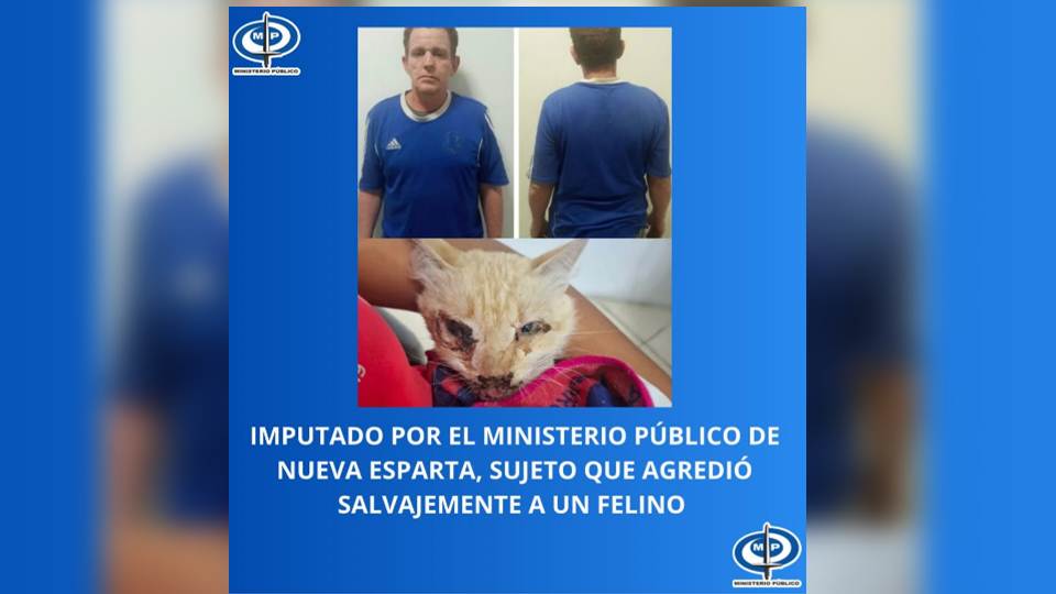 MP de Nueva Esparta imputó a sujeto que agredió salvajemente a un felino