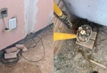 Una mujer insertó un cable con corriente eléctrica en un pan para herir a animales