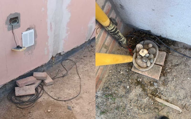 Una mujer insertó un cable con corriente eléctrica en un pan para herir a animales