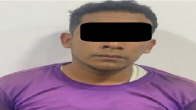 Detenido un individuo por agredir a su pareja y asesinar a su gata