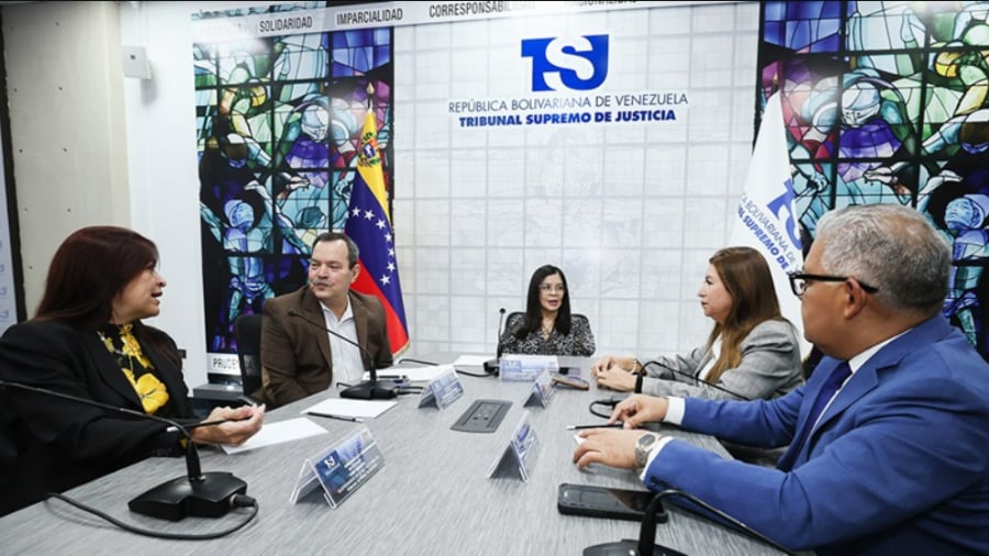 TSJ sostiene reunión para impulsar tribunales de violencia de género