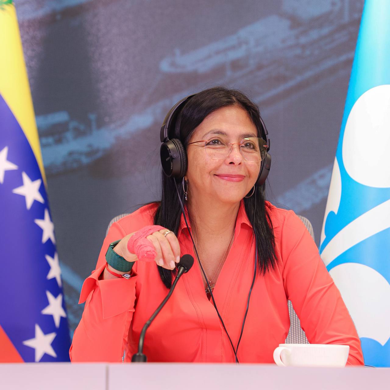Venezuela participa en la 61° Reunión del Comité Ministerial de Monitoreo Conjunto de la OPEP y OPEP+