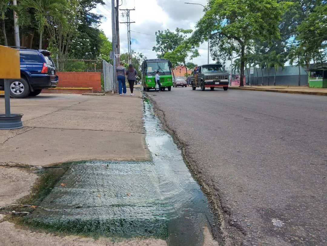 Maturinéses denuncian desborde de aguas negras en la avenida Bicentenario