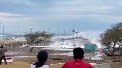 Viral: Abuela lleva a su nieto a presenciar un Tsunami