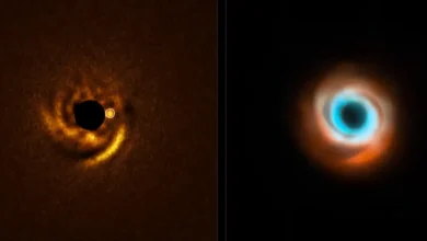 Astrónomos captan el nacimiento de un planeta en vivo