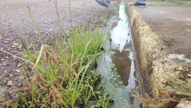 Vecinos del sector La Murallita solicitan reparación de bote de aguas blancas.