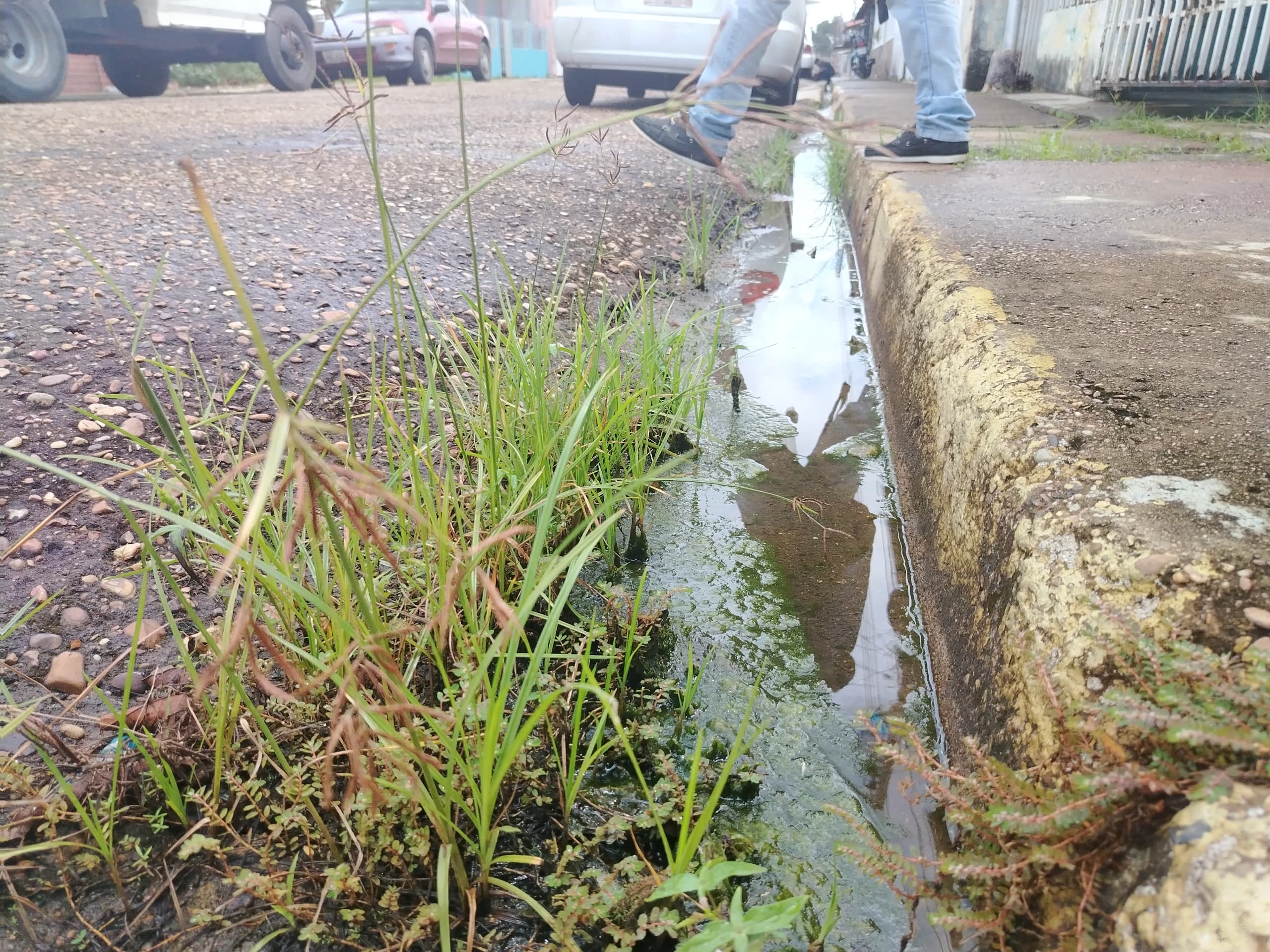 Vecinos del sector La Murallita solicitan reparación de bote de aguas blancas.