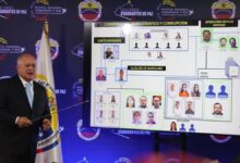 Cabello: Han sido incautados 317 kg de marihuana en Apure y otros 3 mil 161 kg en Falcón