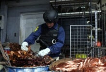 Chile: detienen a dos venezolanos por robo de 25 toneladas de cobre