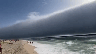 Bañistas en playas de Portugal fueron sorprendidos por inusual ‘tsunami de nubes’