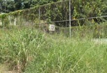 Piden recuperación de la cancha del sector El Campito en Maturín
